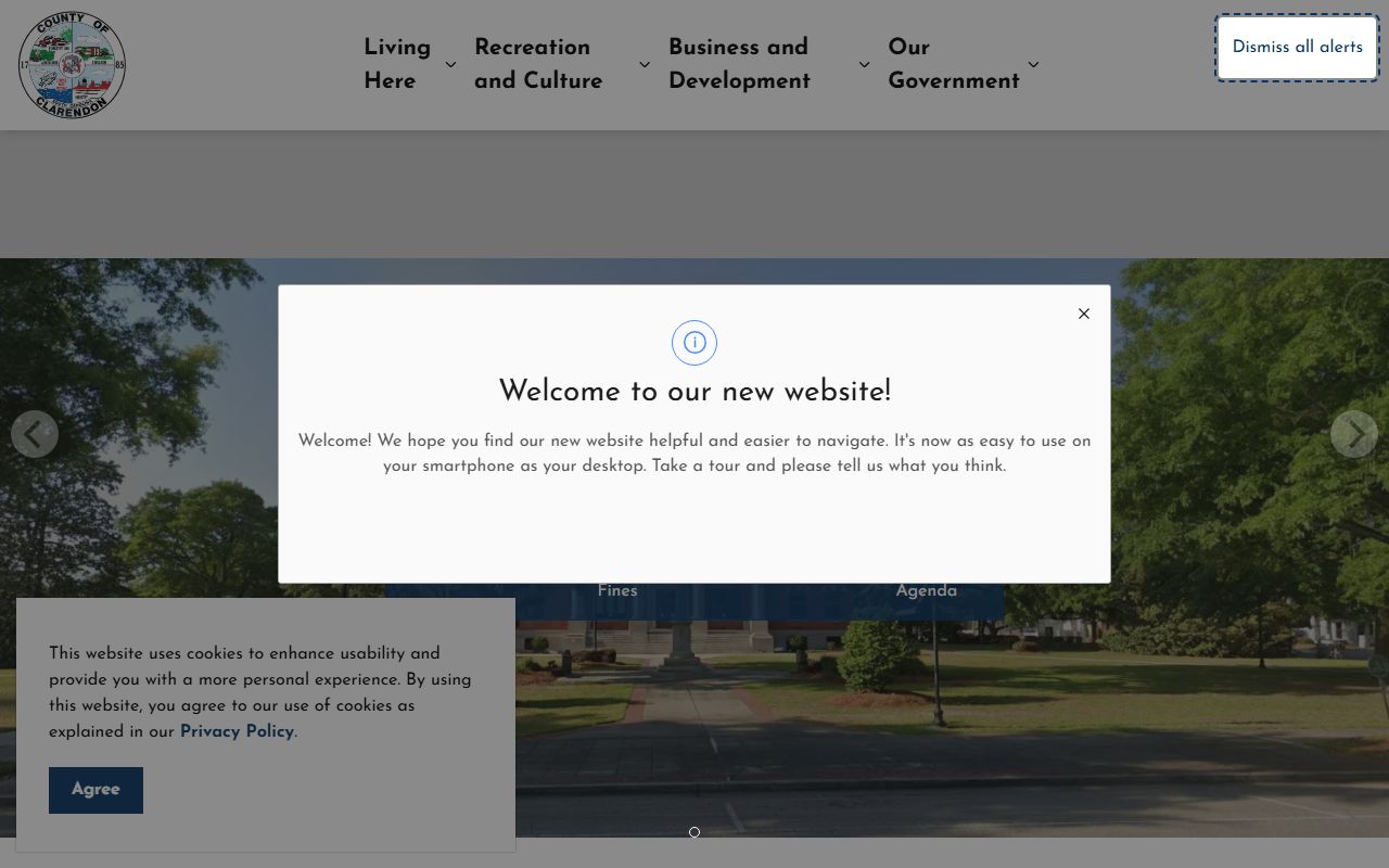 Clarendon County court records official county homepage
