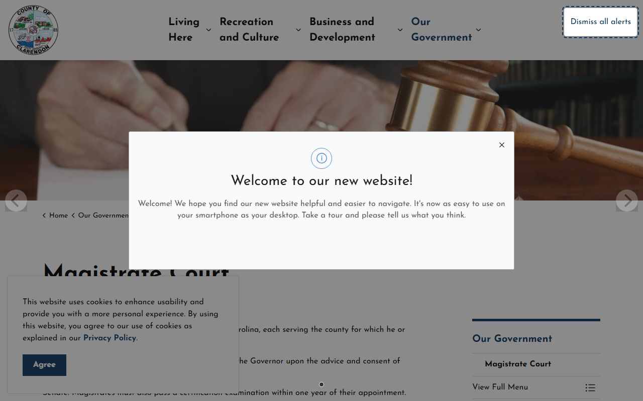 Clarendon County court records magistrate court page